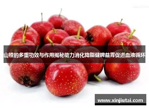 山楂的多重功效与作用揭秘助力消化降脂健脾益胃促进血液循环