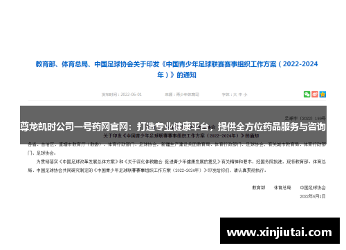 尊龙凯时公司一号药网官网：打造专业健康平台，提供全方位药品服务与咨询